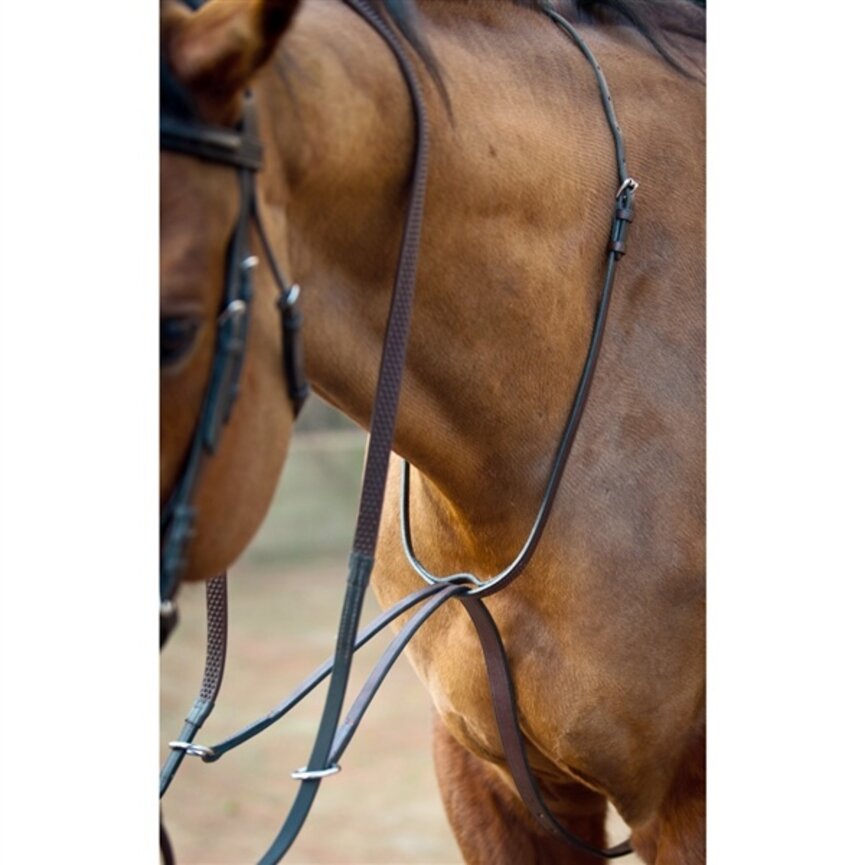 Flat Running Martingale