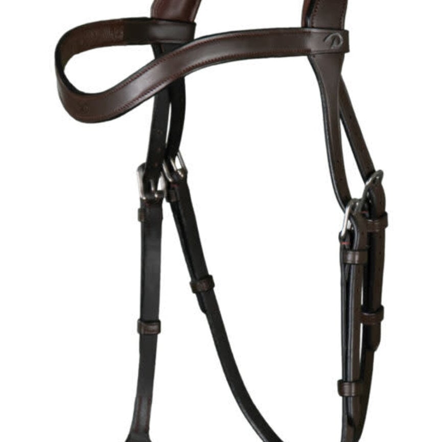 BITLESS BRIDLE