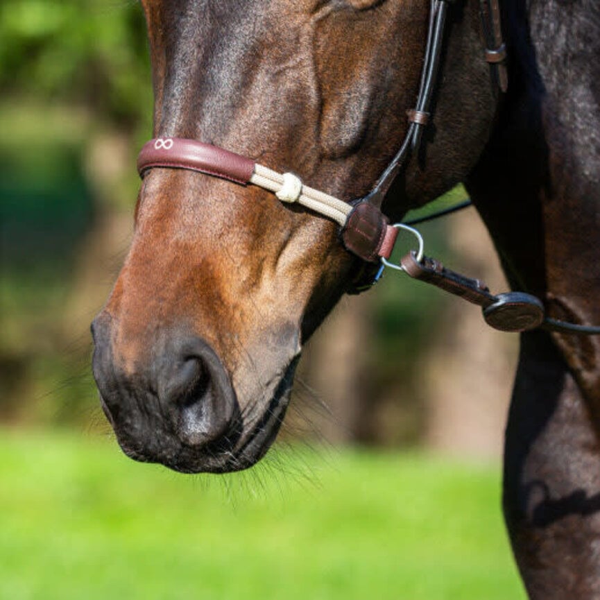 BITLESS BRIDLE