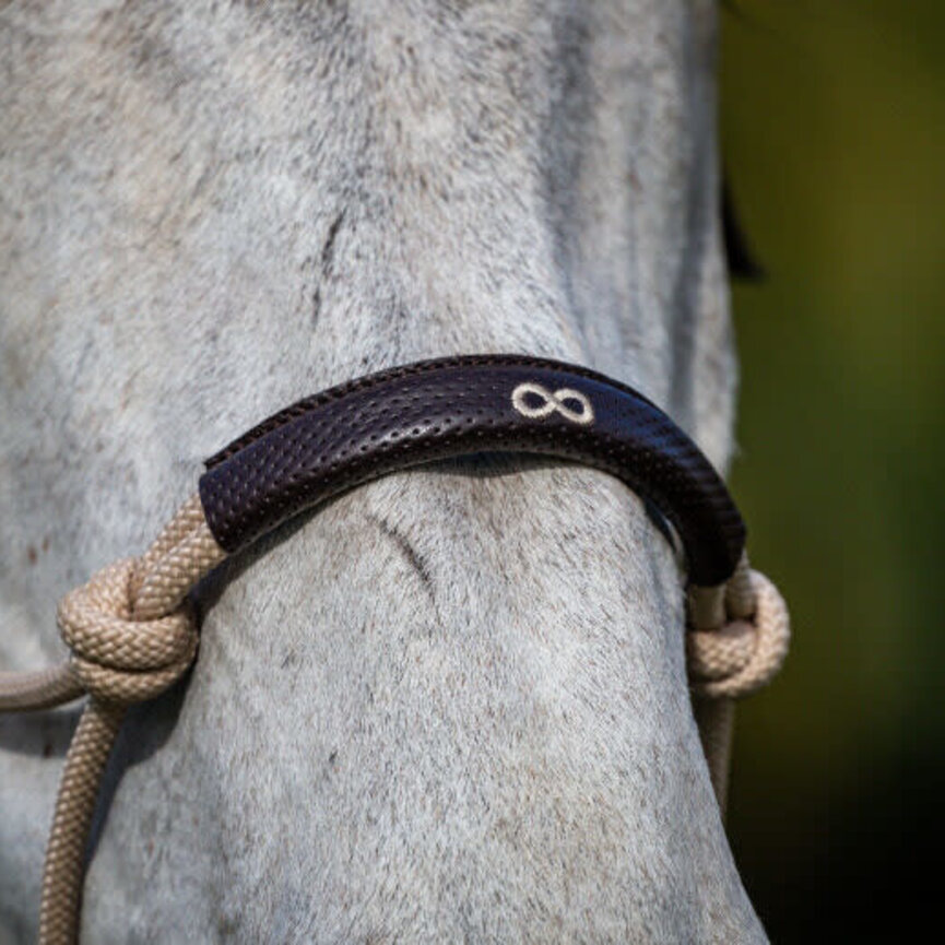 TRAINING HEAD COLLAR