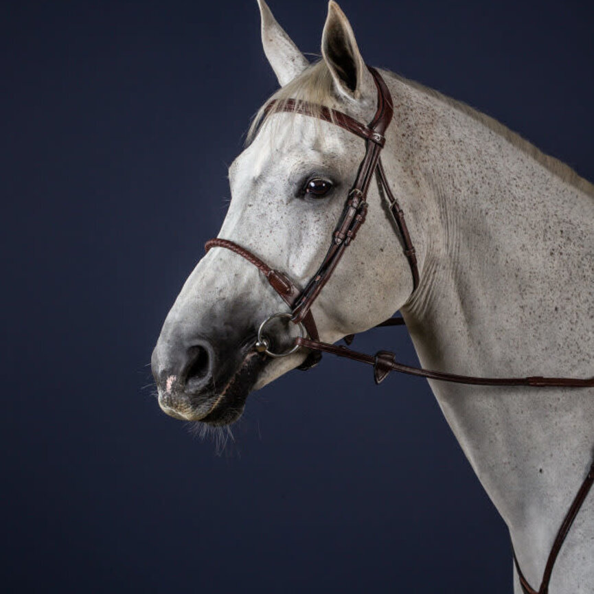 LEATHER COVERED ROPE NOSEBAND BRIDLE