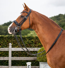 DY'ON PATENT LARGE CRANK NOSEBAND DOUBLE BRIDLE