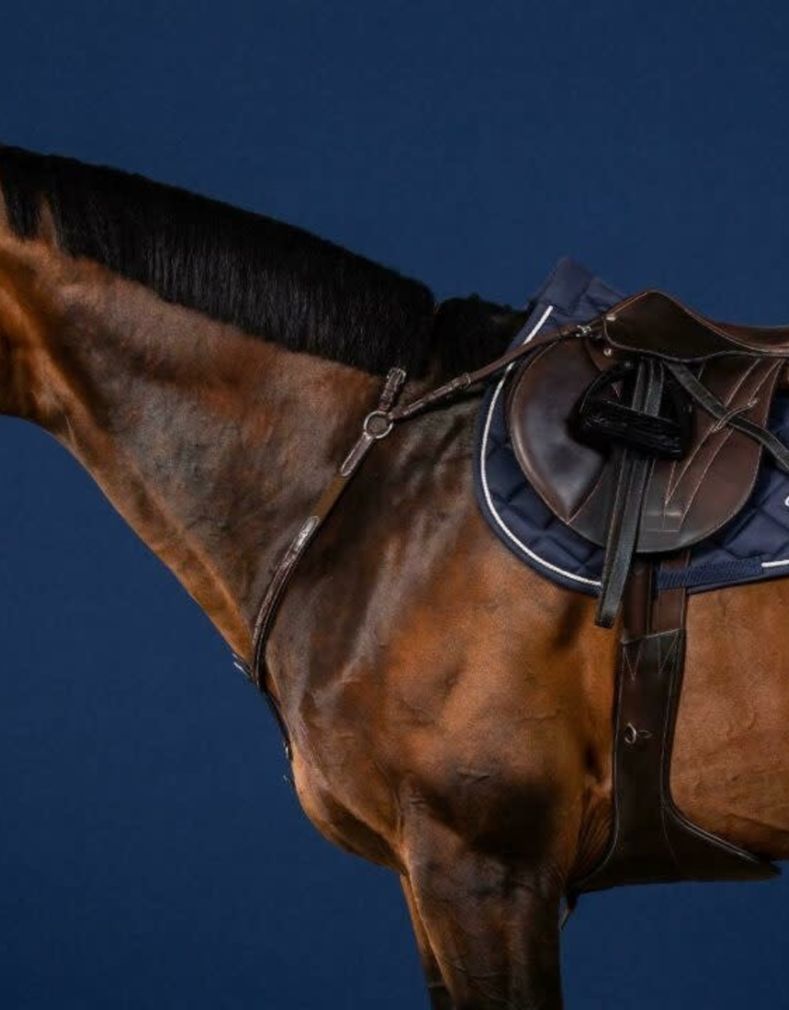 DY'ON BRIDGE BREASTPLATE Equine Essentials Tack & Laundry Services