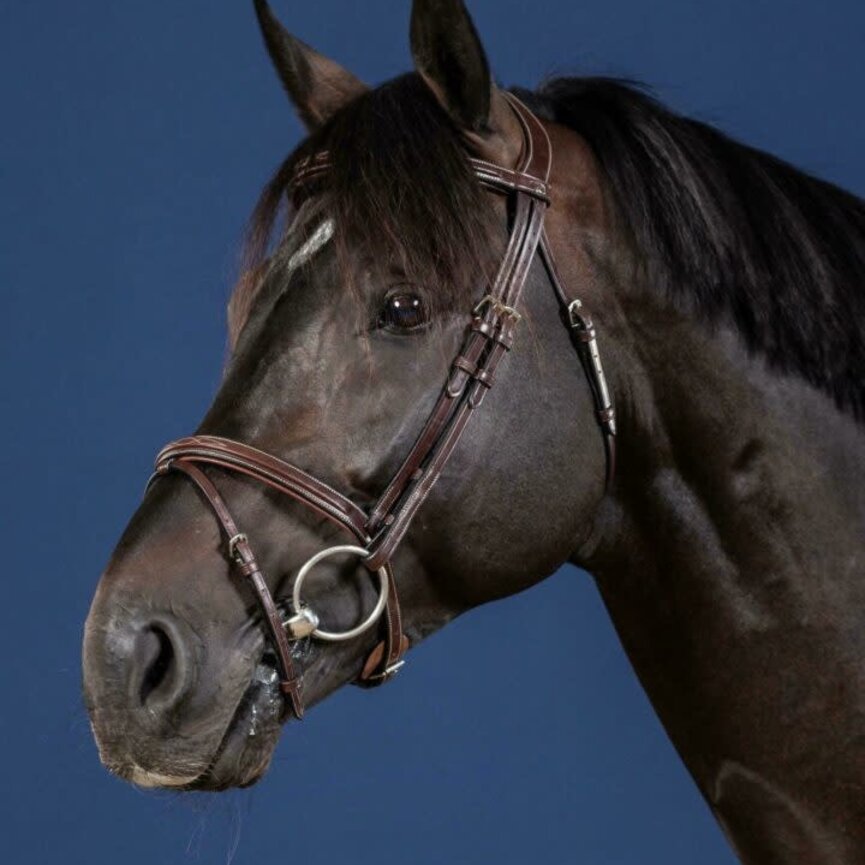 FLASH NOSEBAND BRIDLE