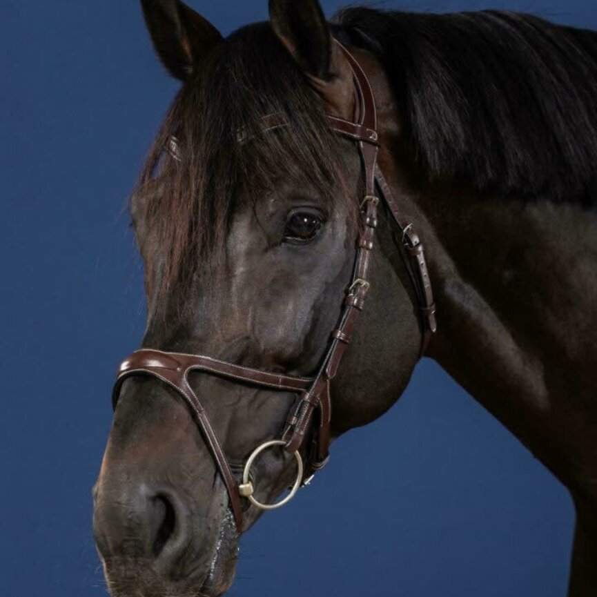 X-FIT BRIDLE