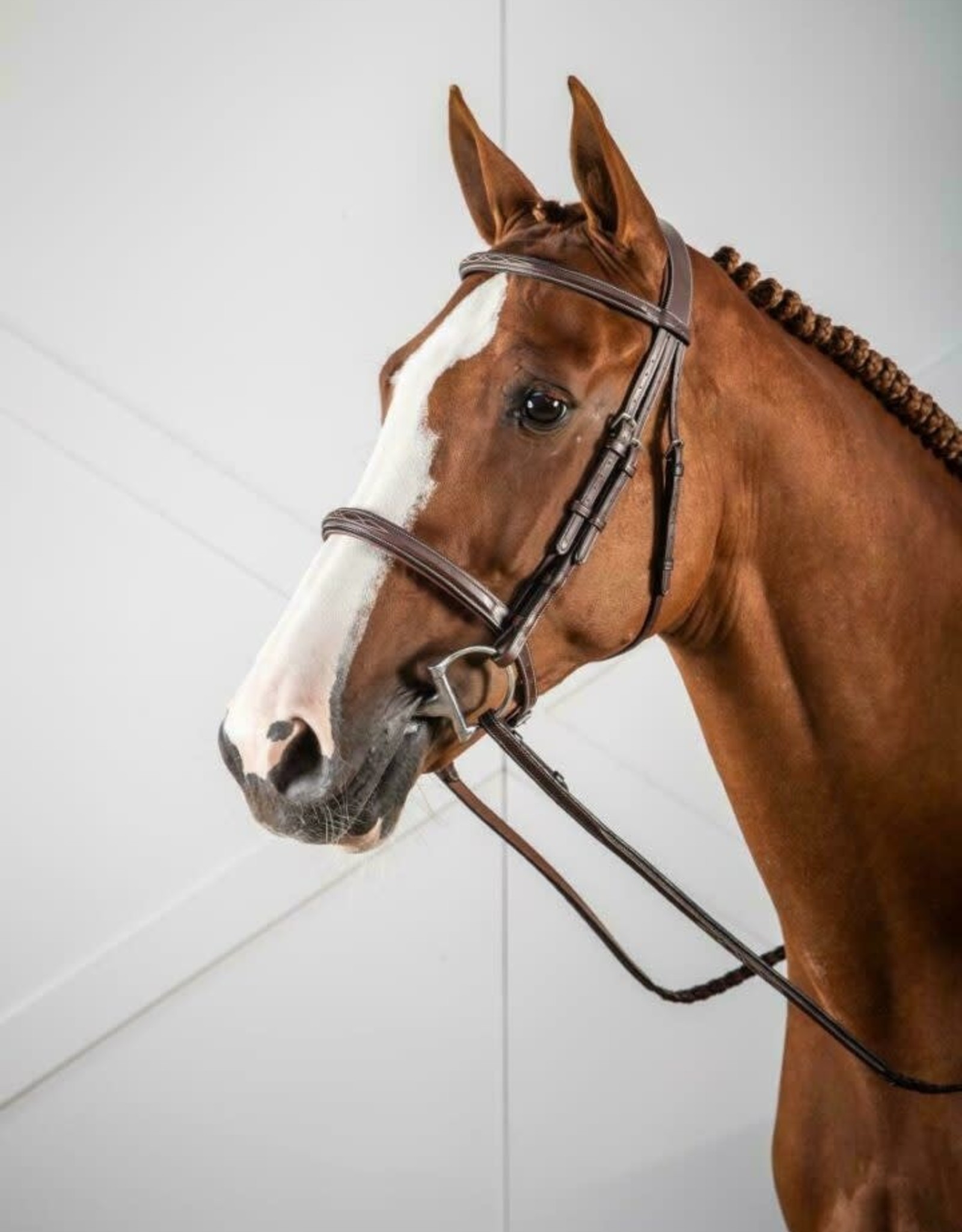CAVESSON NOSEBAND BRIDLE Equine Essentials Tack & Laundry Services