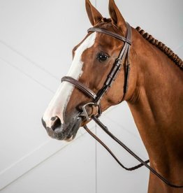 DY'ON CAVESSON NOSEBAND BRIDLE