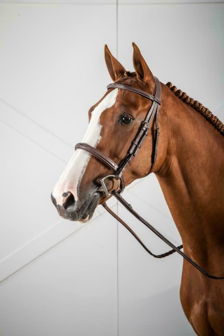 CAVESSON NOSEBAND BRIDLE Equine Essentials Tack & Laundry Services
