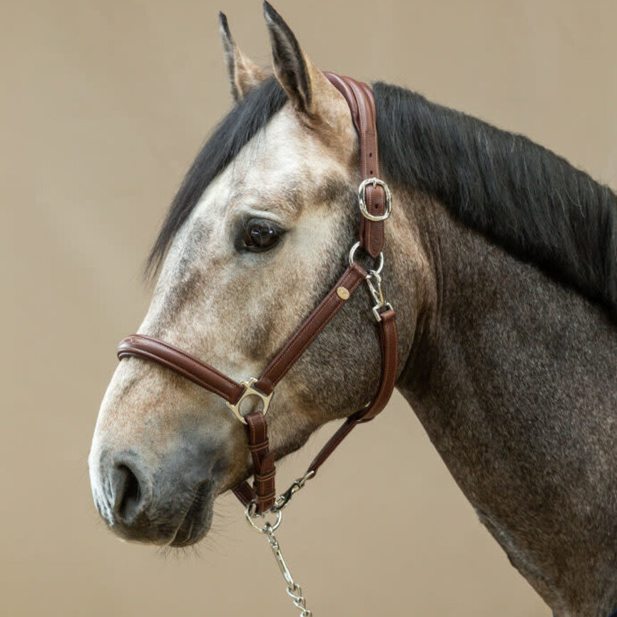 SOFT LEATHER HEAD COLLAR