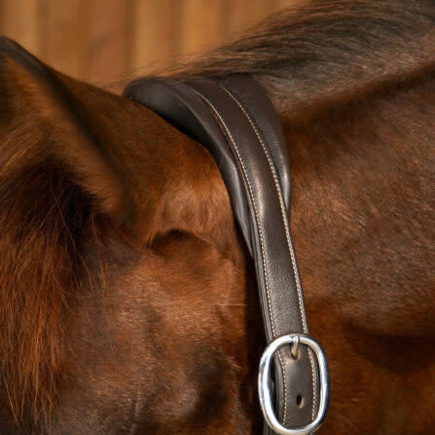 SOFT LEATHER HEAD COLLAR