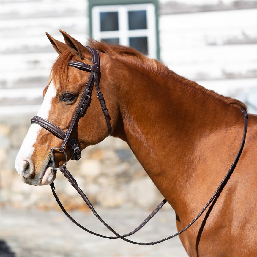 Valkyrie Pony Fancy Stitched Bridle - Chocolate Brown