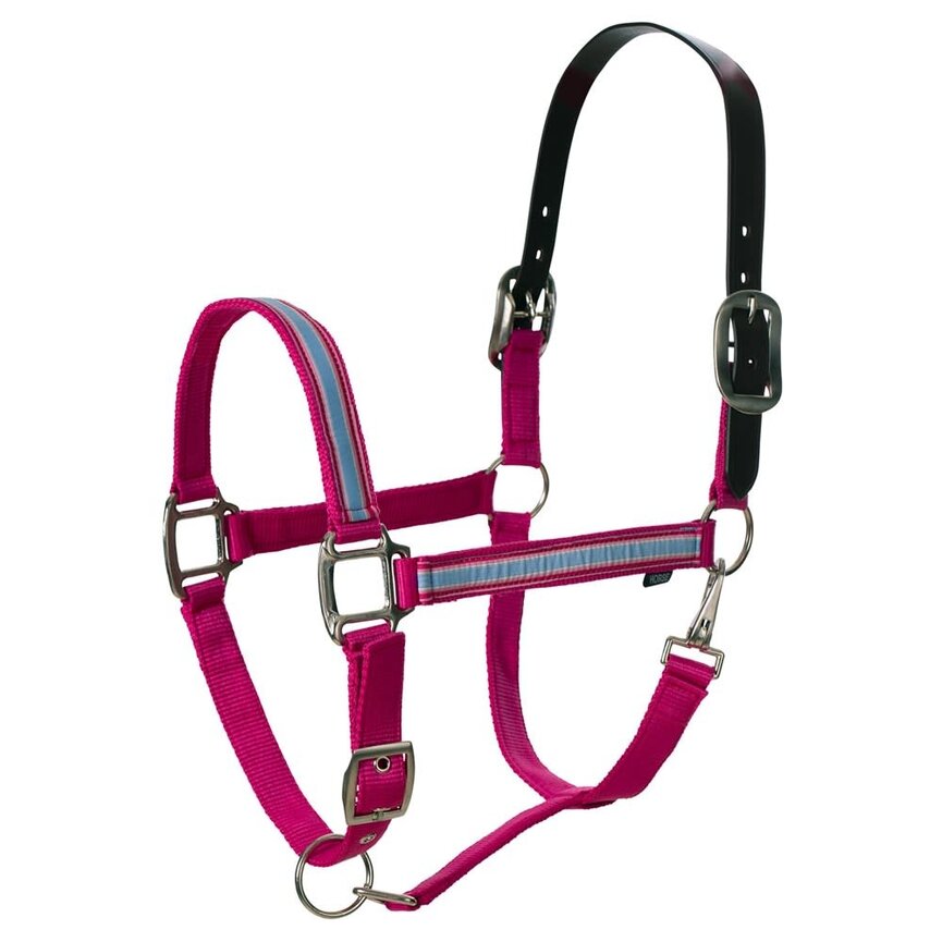 Pegasus Ribbon Breakaway Halter