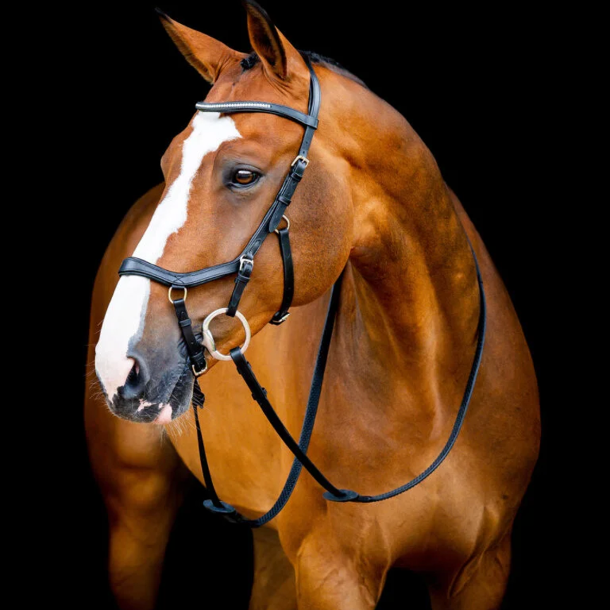 Micklem 2 Diamante Competition Bridle