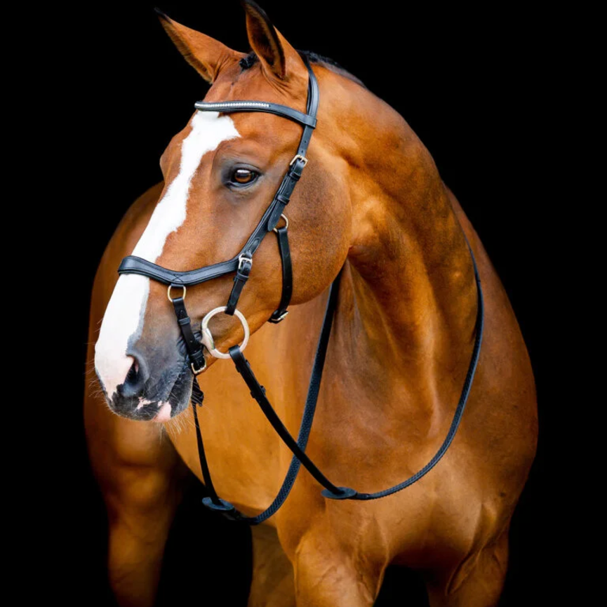 Micklem Diamante Competition Bridle