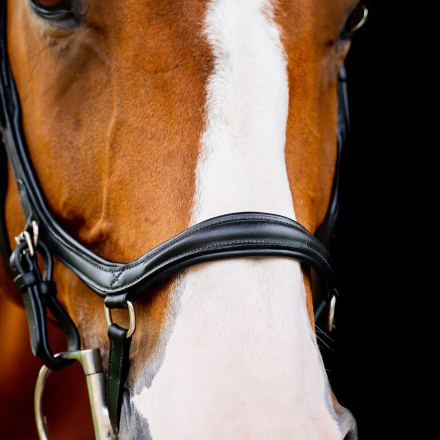 Micklem Diamante Competition Bridle