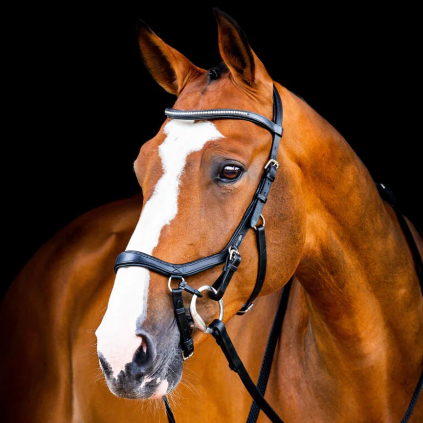 Micklem 2 Diamante Competition Bridle