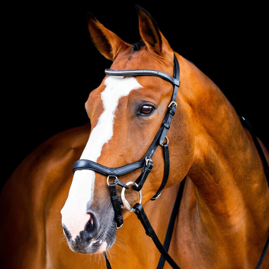 Micklem Diamante Competition Bridle