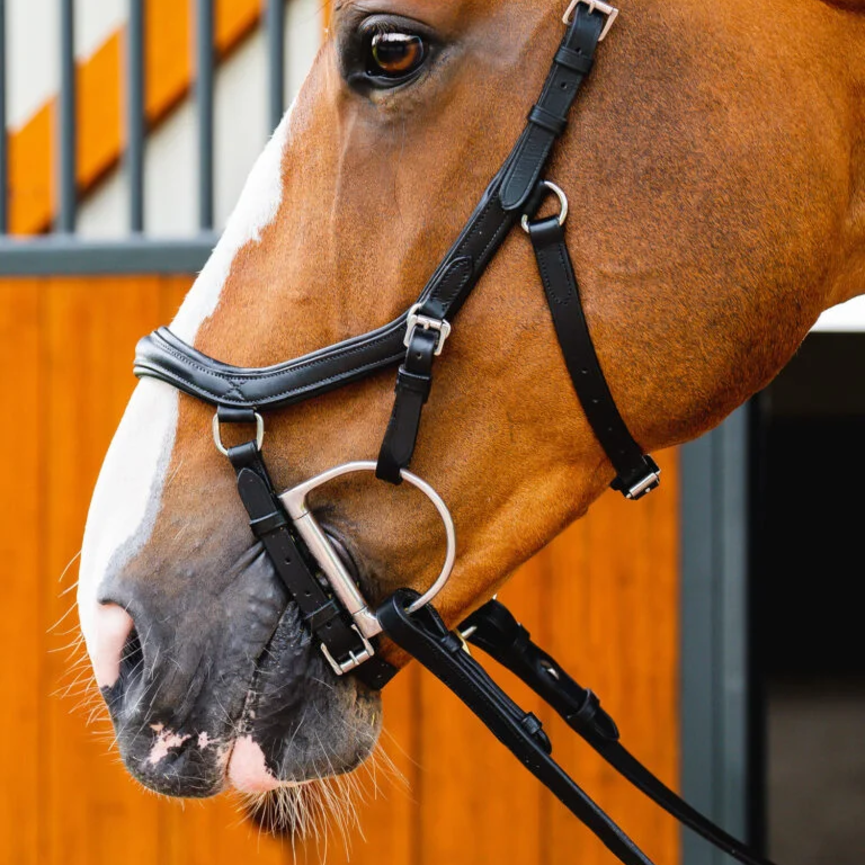 Micklem 2 Deluxe Competition Bridle