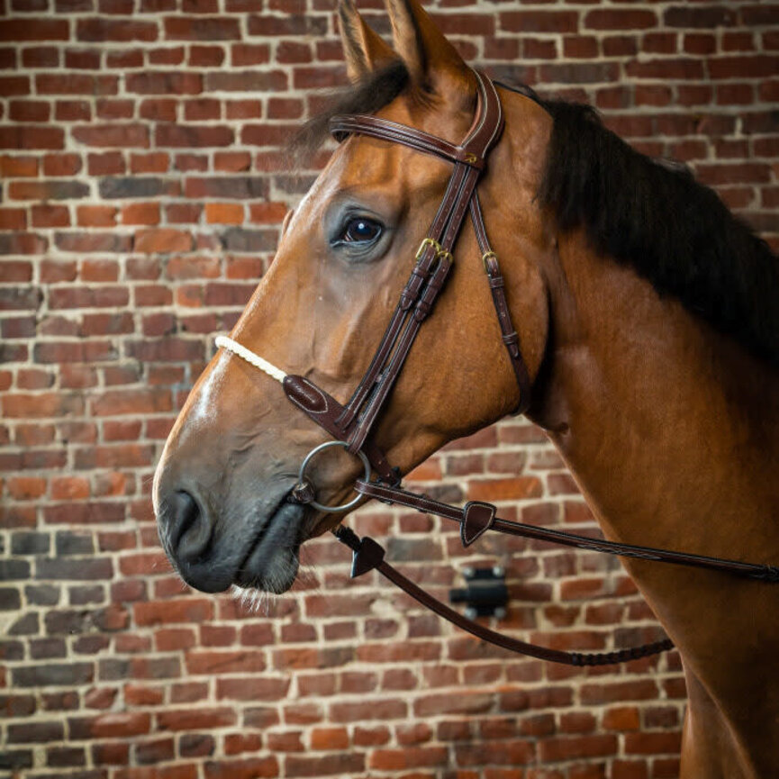 ROPE NOSEBAND BRIDLE