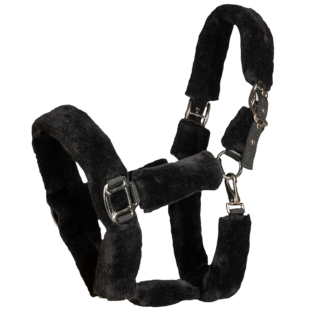 Audrey Halter Equine Essentials Tack & Laundry Services