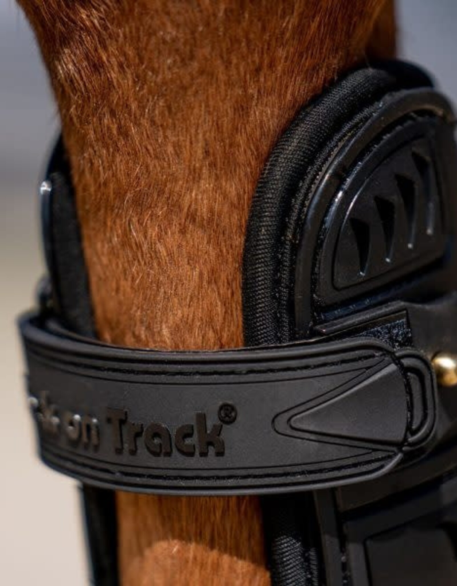 BACK ON TRACK Airflow Tendon Boots