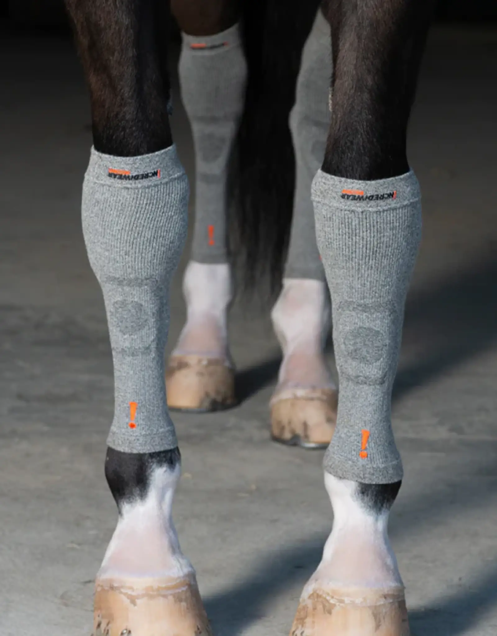 CIRCULATION HOOF SOCK Equine Essentials Tack & Laundry Services