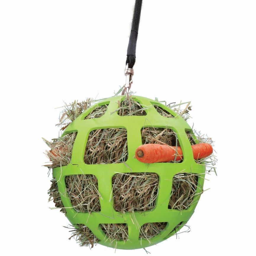 SLOW HAY FEEDER FUN & FLEX BALL