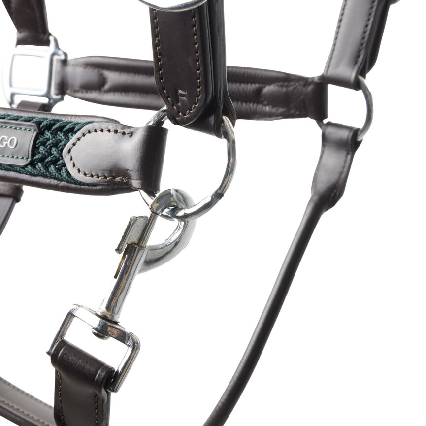 Evolve Leather Halter with Braided Accents