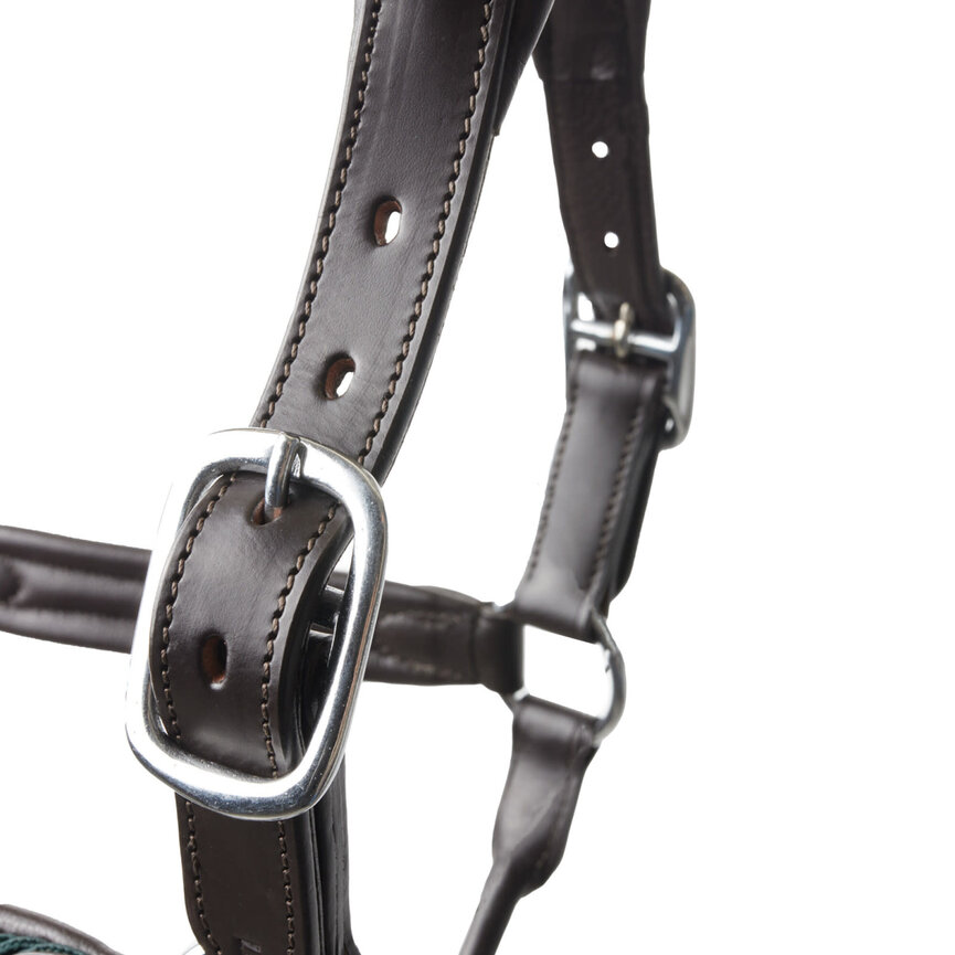 Evolve Leather Halter with Braided Accents