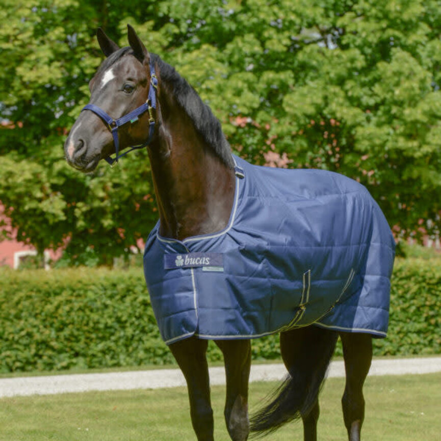 NEW BUCAS QUILT SILK FEEL 50 FILL