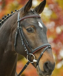 ADINA TEDDY FLEECE VEST - Equine Essentials Tack & Laundry Services