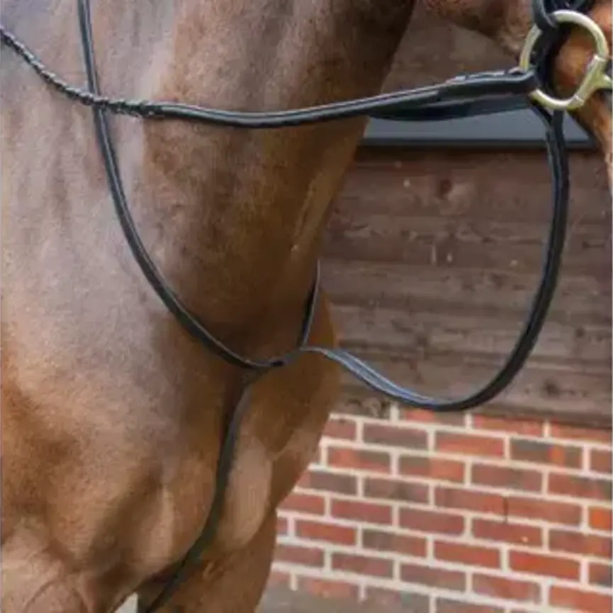 Lusso Standing Martingale