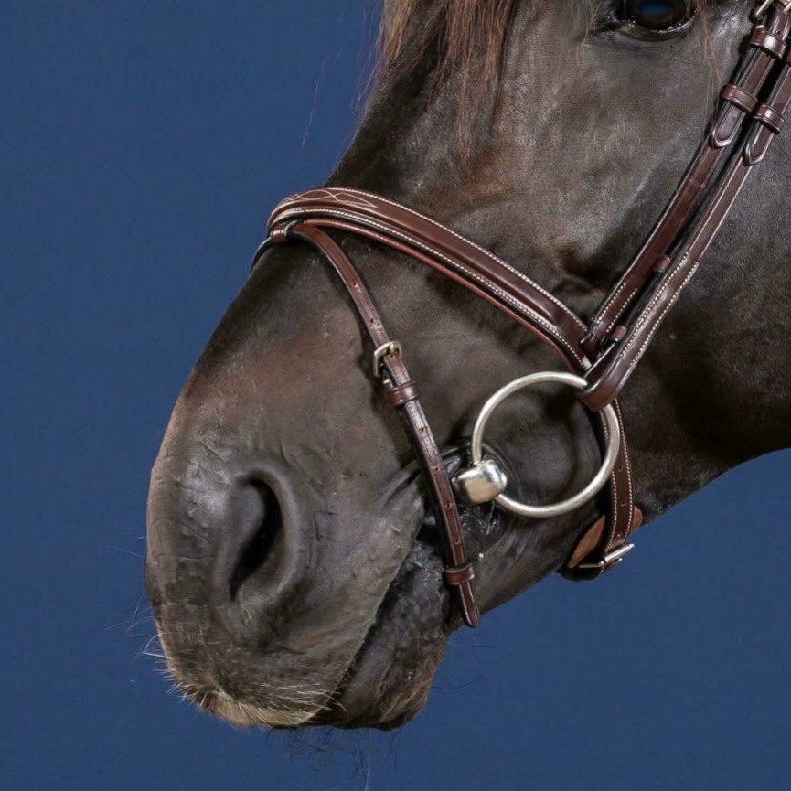 DY'ON FLASH NOSEBAND