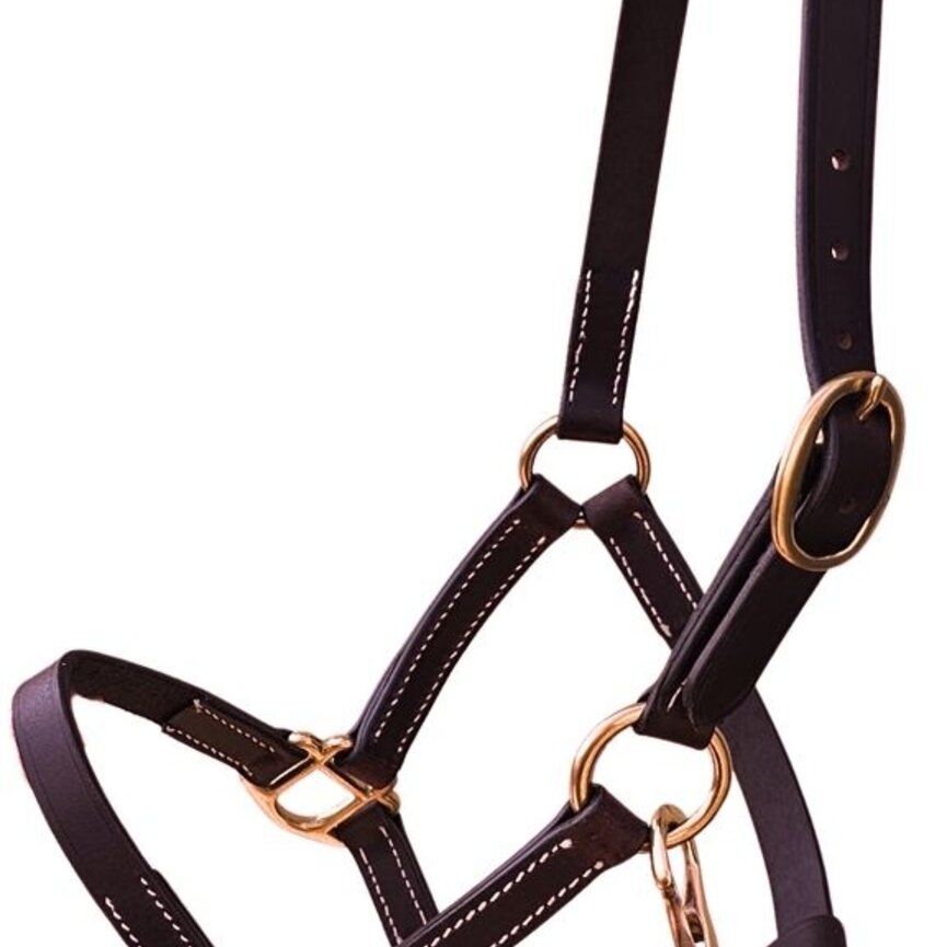 Leather Mini or Foal Halter with Brass Hardware