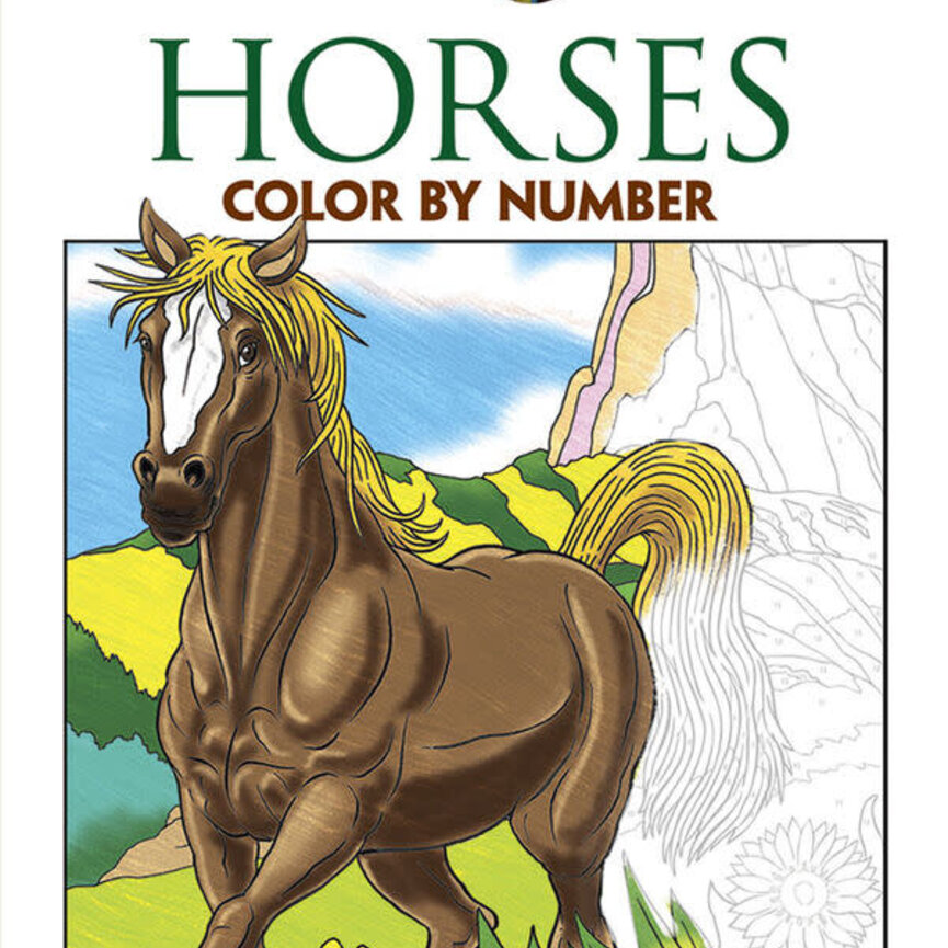Horses Colour By Number Book