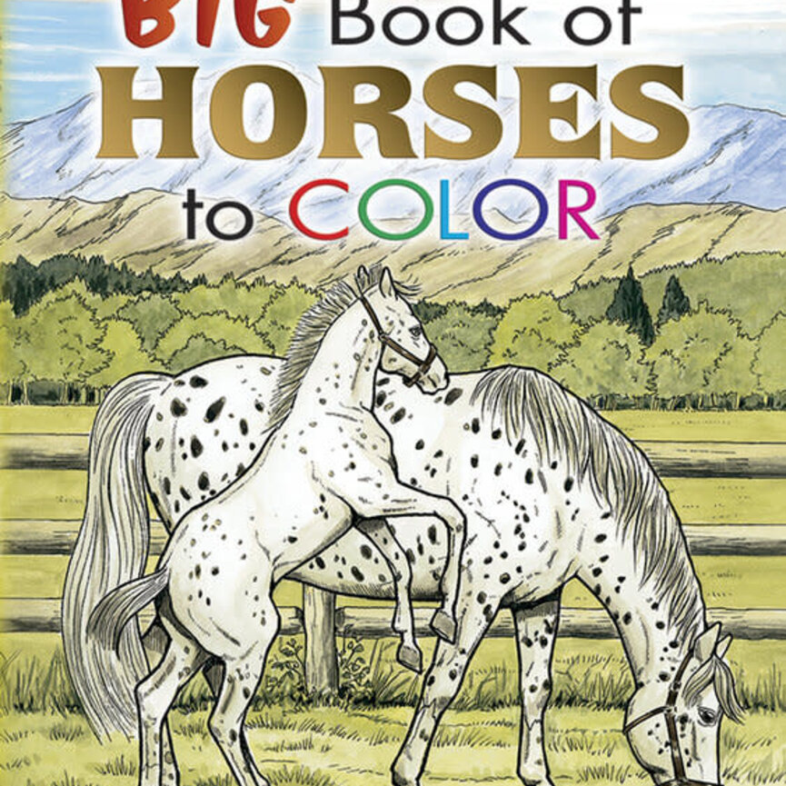 Big Book of Horses to Colour