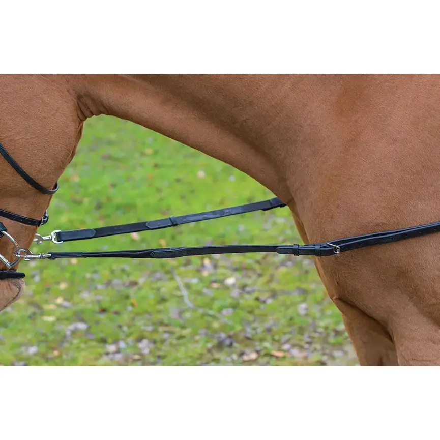 LEATHER SIDE REINS