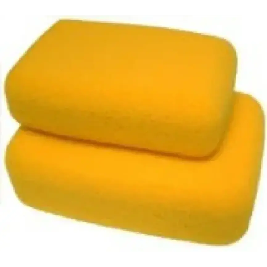 Sponge - hydra bath 6x4x2