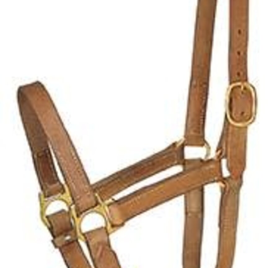 TURN OUT HALTERS