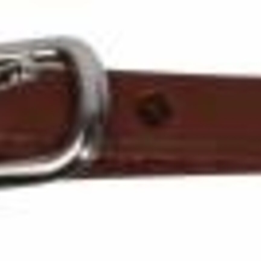 SHOW CURB STRAPS