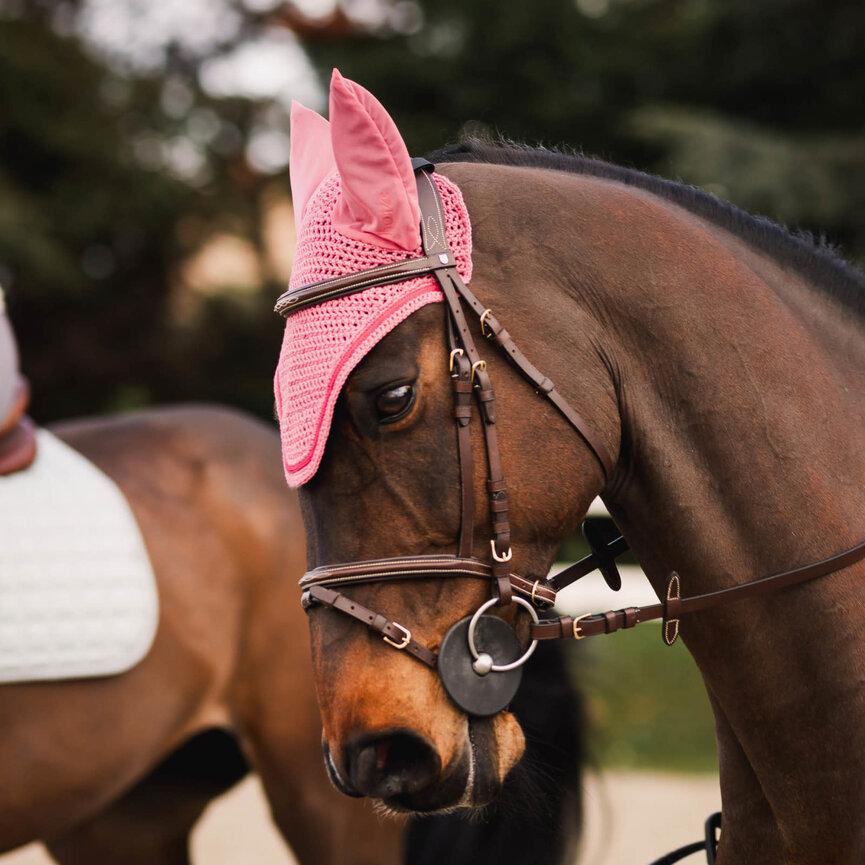 Rose Tonique Ear Net