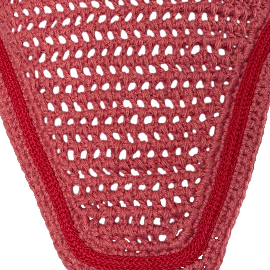 Rose Tonique Ear Net