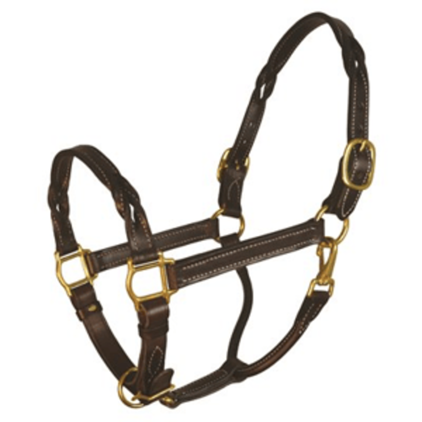 Twisted Leather Halter - Havana