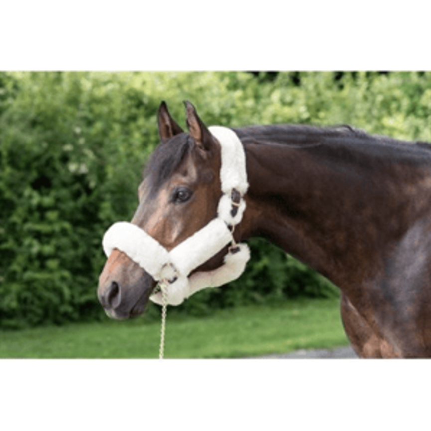 Sheepskin Shipping Halter - Havana