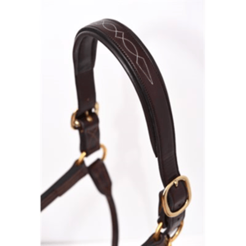 Fancy Stitched Padded Leather Halter - Havana w/Havana Padding