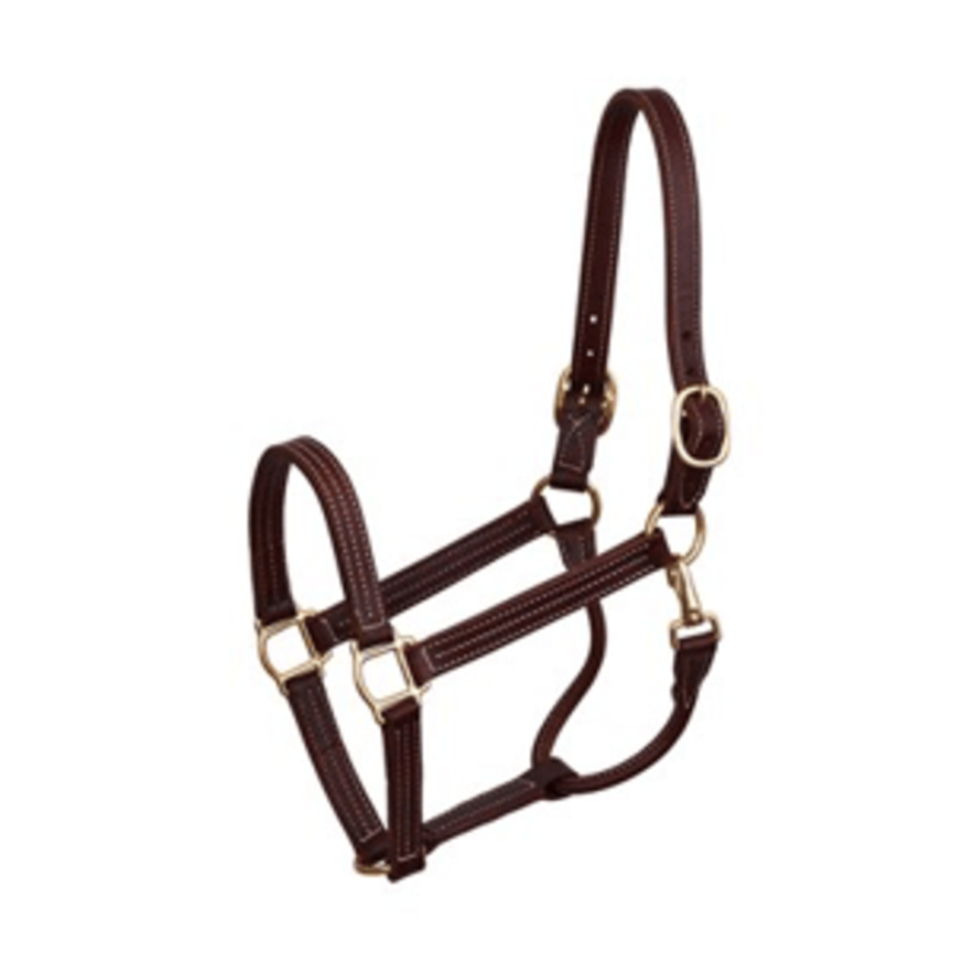 Professional 1" Triple Stitched Leather Show Halter - Havana