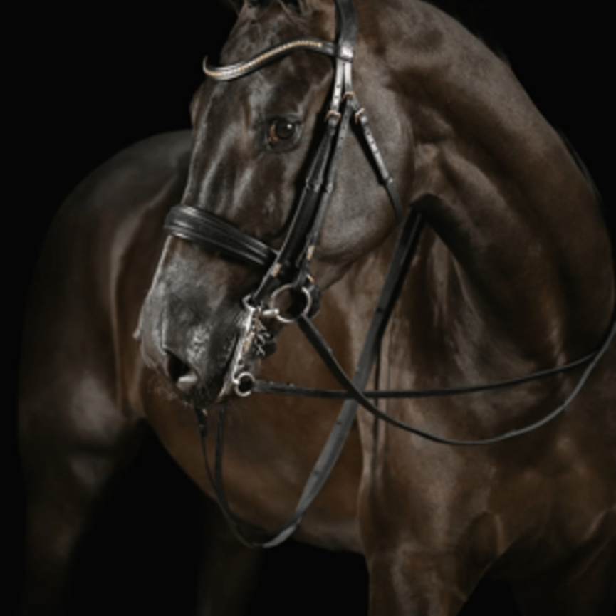 Knight Power Deluxe Double Bridle