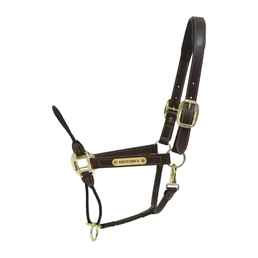 Leather Rope Halter