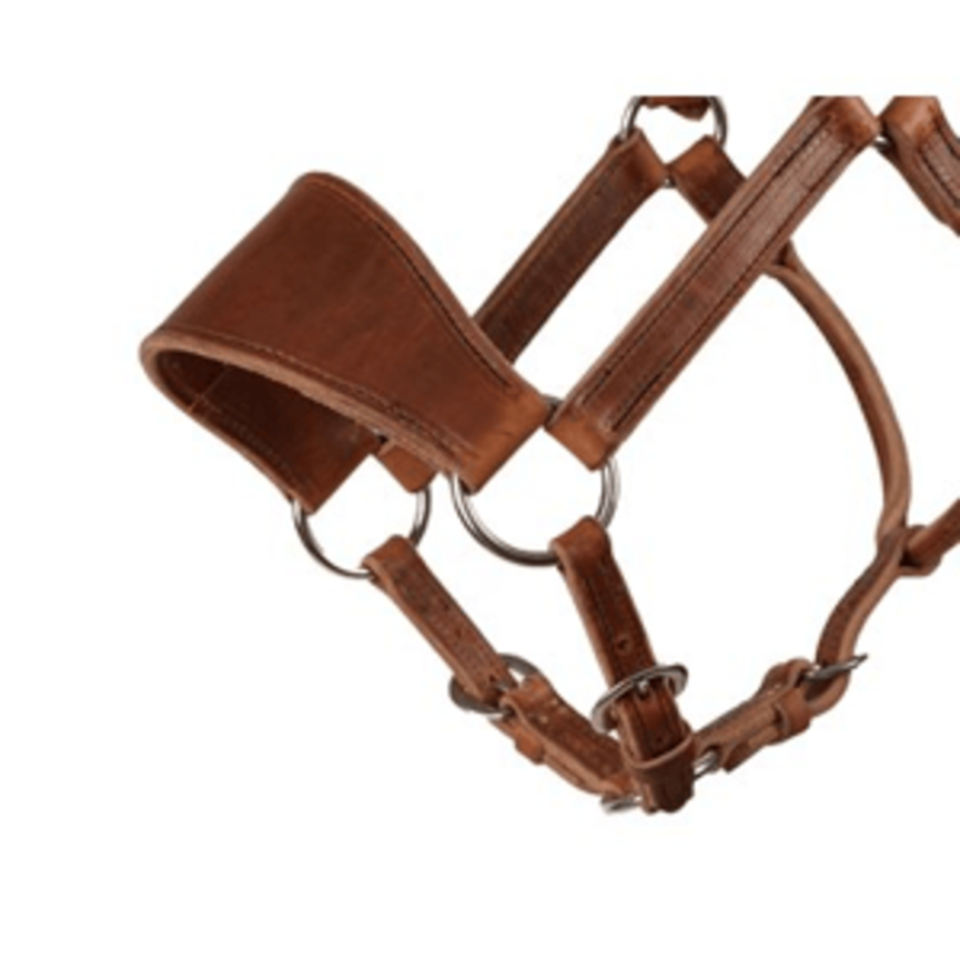 LEATHER RANCH HALTER - HORSE SIZE