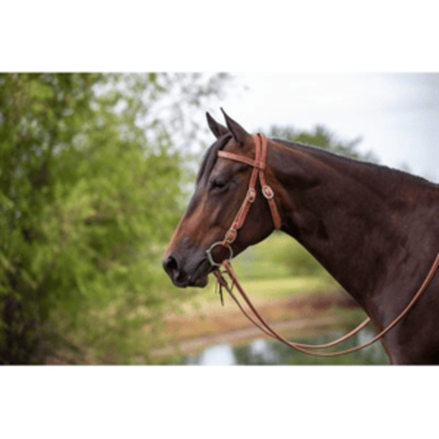 1" Wide Headstall with Buckle Ends